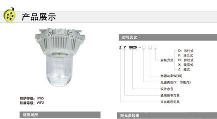 浙江通明電器ZY8620-40W節能防眩泛光燈 高效照明解決方案